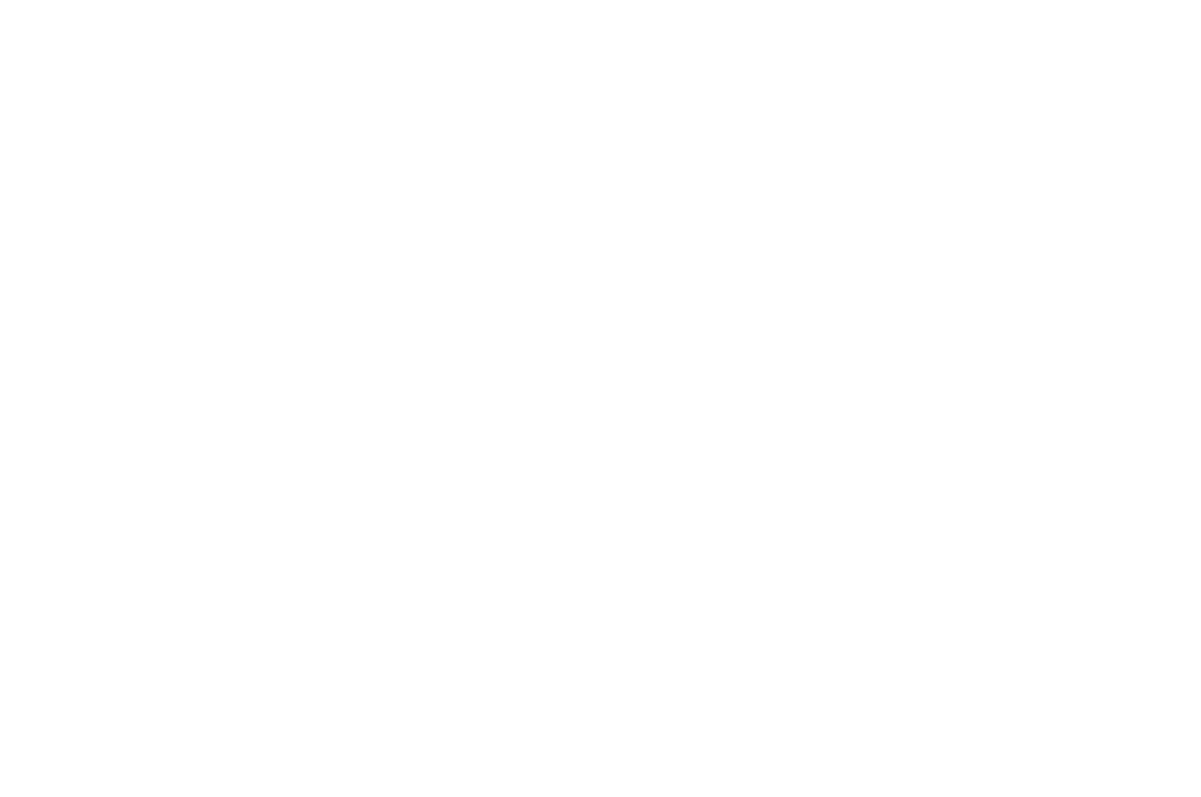 Official Selection FILMZ Festival of German Cinema 2021