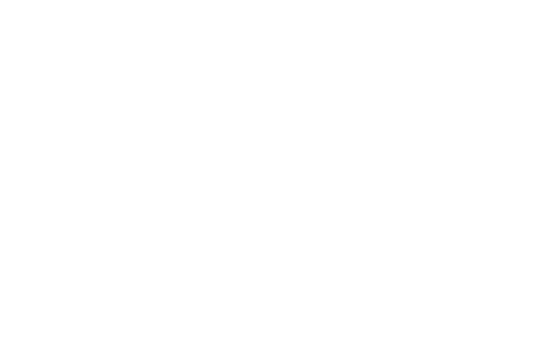 Official Selection Film in Focus 2021