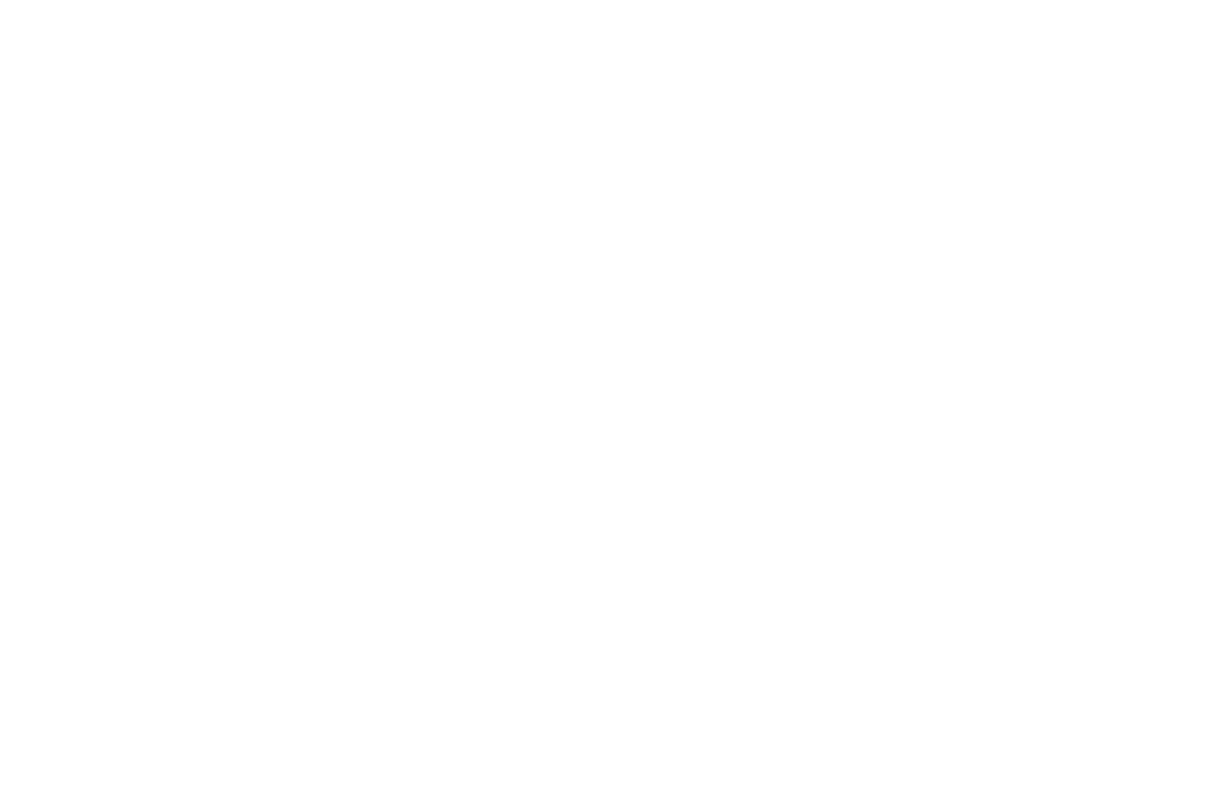 Official Selection Visual Arts Sundays 2017