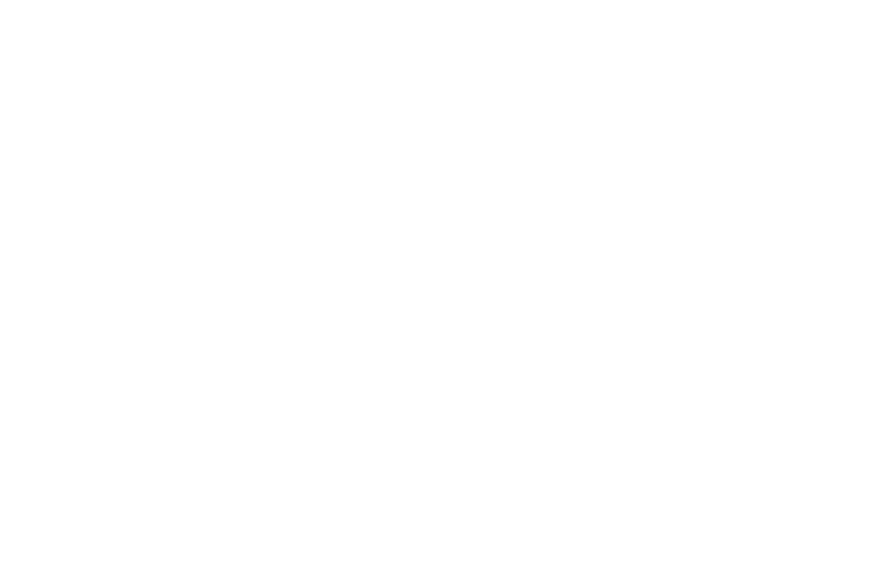 Official Selection Zeitimpuls 2019